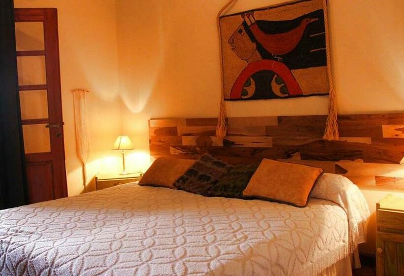 فندق صغير Posada San Andres
