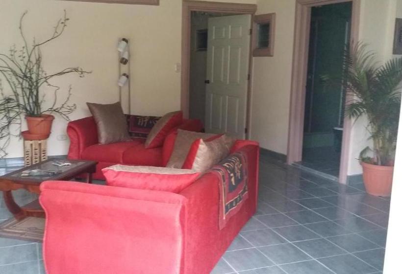 بنسيون Top Of The Mountain, New Hotel Bnb In The Clouds