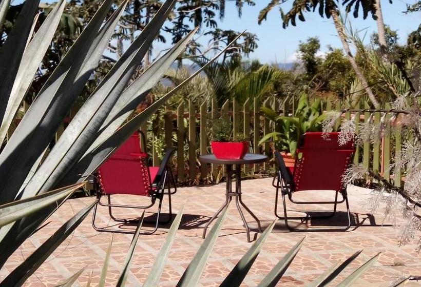 بنسيون Top Of The Mountain, New Hotel Bnb In The Clouds