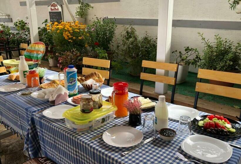 پانسیون Vila Reni & Risi