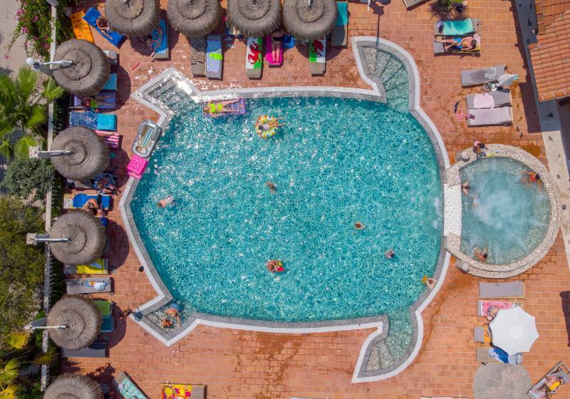 Flamingo Hotel & Spa   Pet Friendly