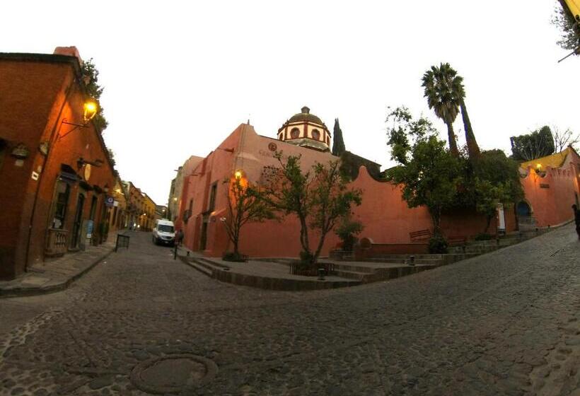 هتل Casa Rosada  Adults Only