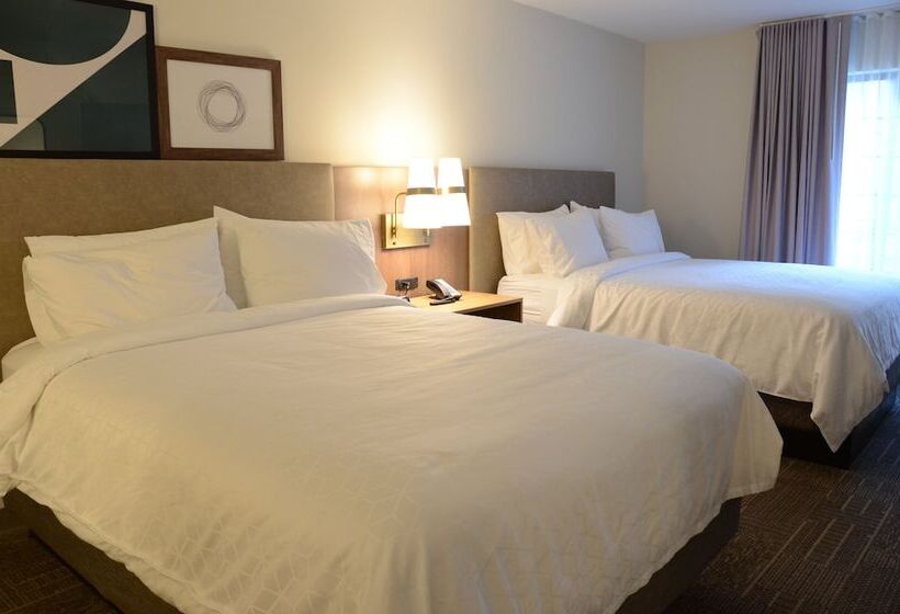 בית מלון כפרי Staybridge Suites Nashville Se  Murfreesboro, An Ihg
