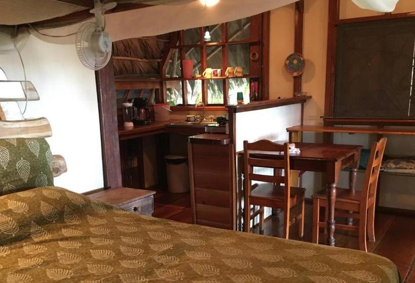 بنسيون Cabinas Los Cocos