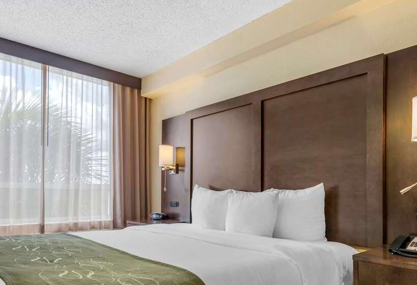 Отель Hampton Inn Weston Ft. Lauderdale