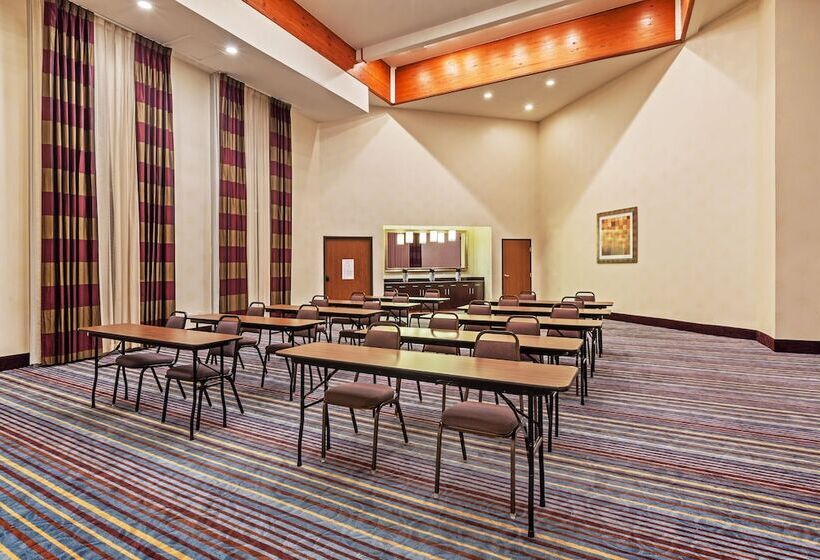 Holiday Inn Express Hotel & Suites Houston Downtown Convention Center, An Ihg