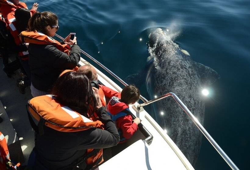 هتل La Tosca Hostel