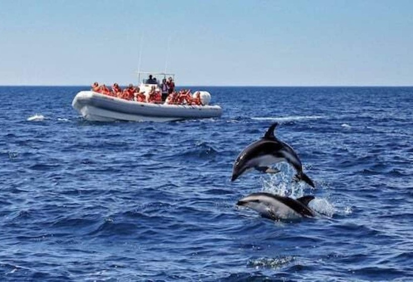 هتل La Tosca Hostel