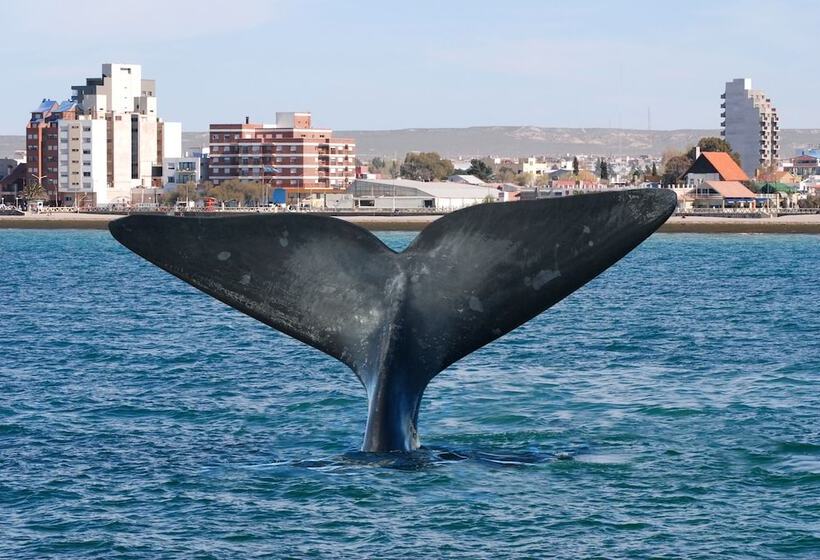 هتل La Tosca Hostel