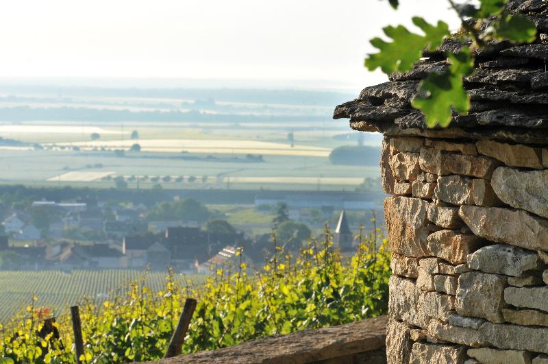 Отель Le Richebourg Hôtel, Restaurant & Spa
