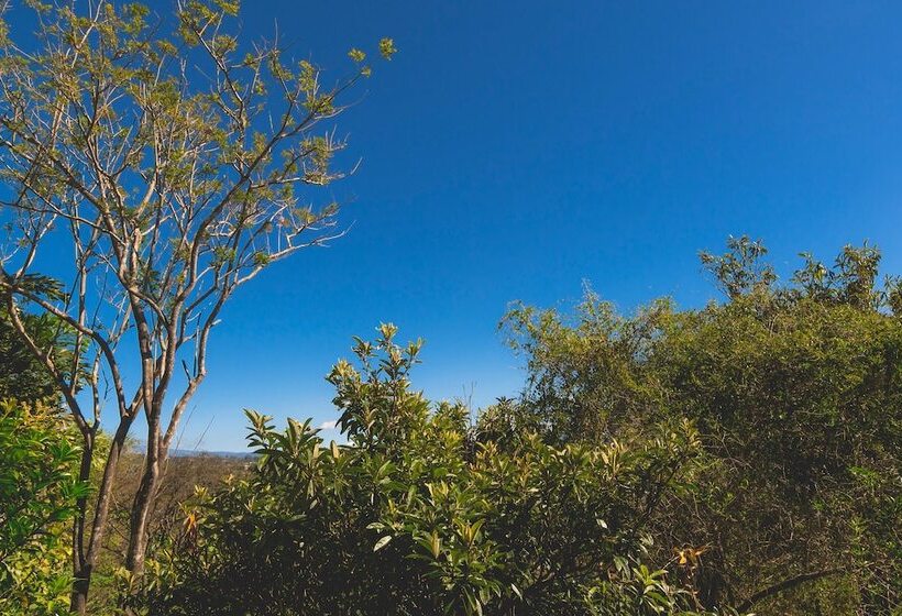 فندق Finca Rosa Blanca Coffee Farm And Inn