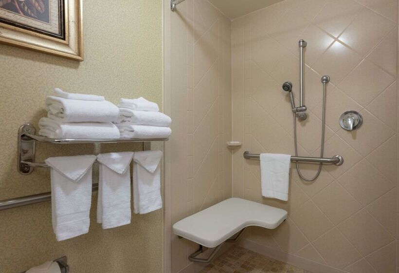 هتل Hampton Inn & Suites Vicksburg
