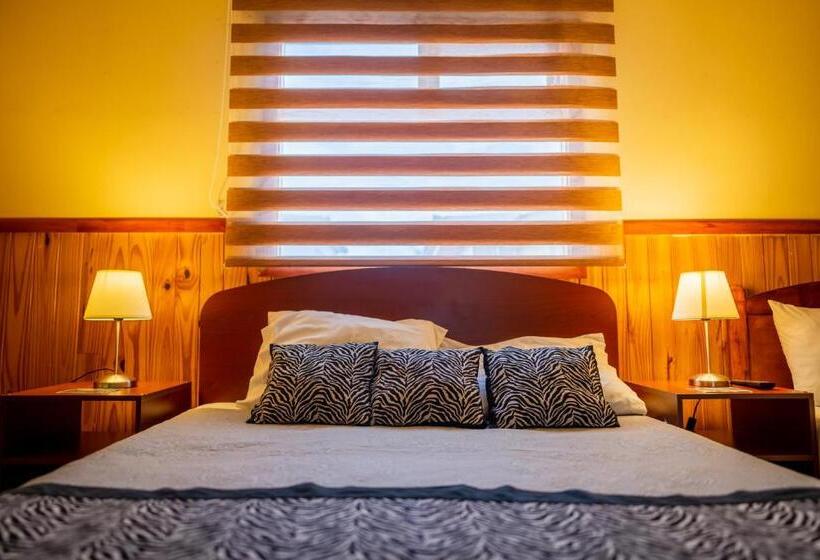 ホテル Hostal Alcázar