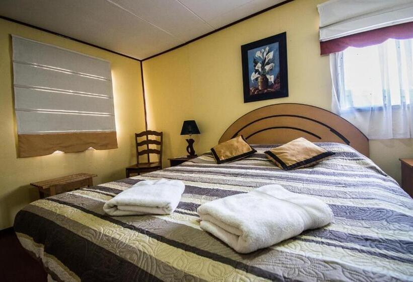 ホテル Hostal Alcázar