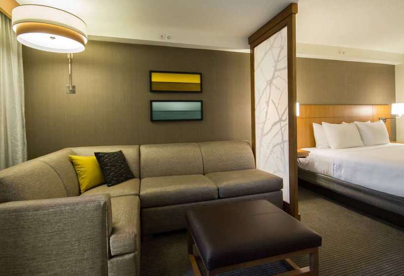 בית מלון כפרי Hyatt Place Daytona Beach Oceanfront