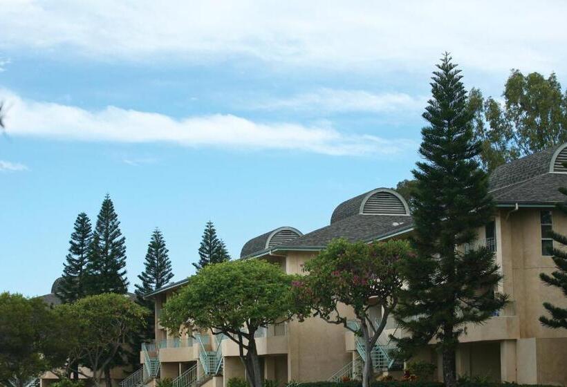 בית מלון כפרי Paniolo Greens Resort