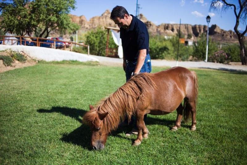 هتل روستایی Cuevas Abuelo Ventura