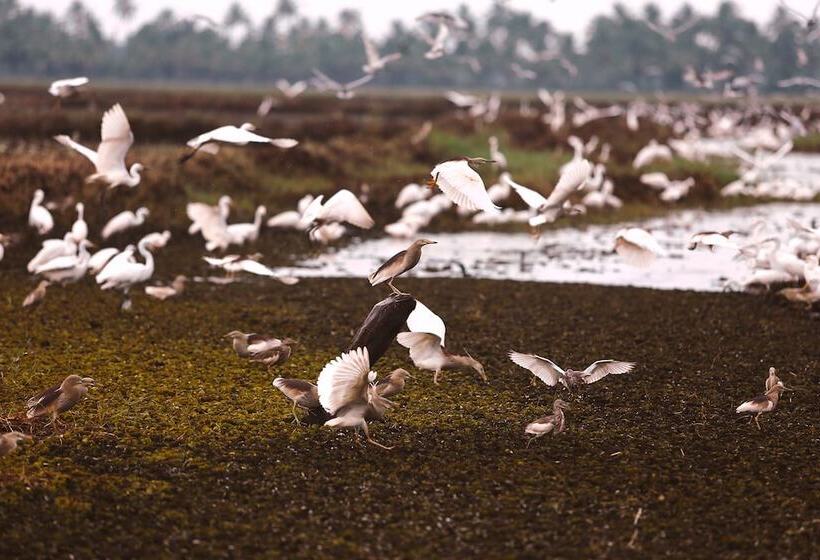 בית מלון כפרי Coconut Lagoon Kumarakom  A Cgh Earth Experience