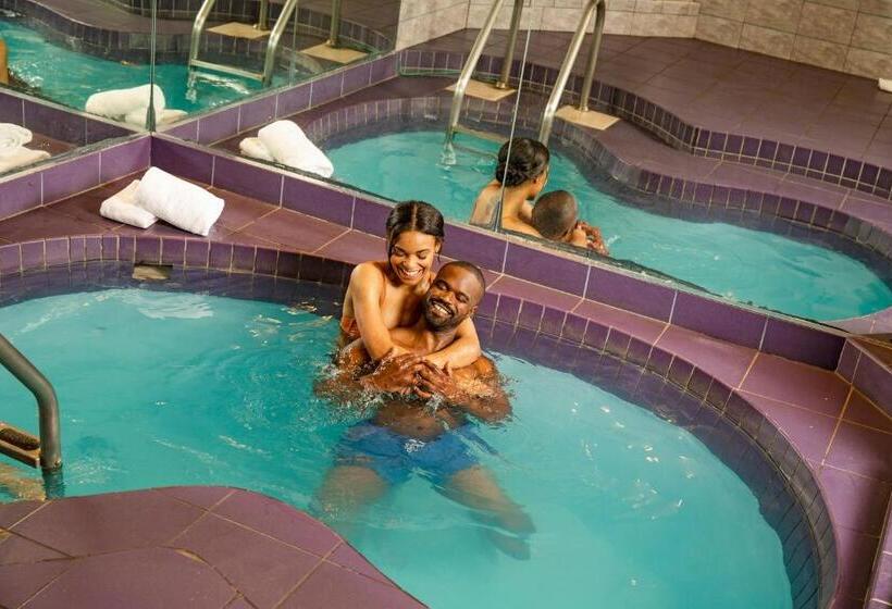 酒店 Paradise Stream Resort