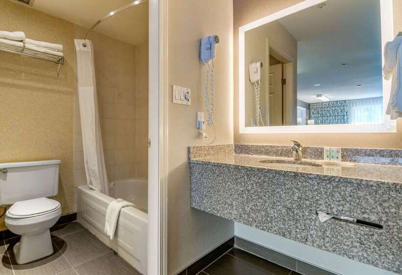 酒店 Quality Inn