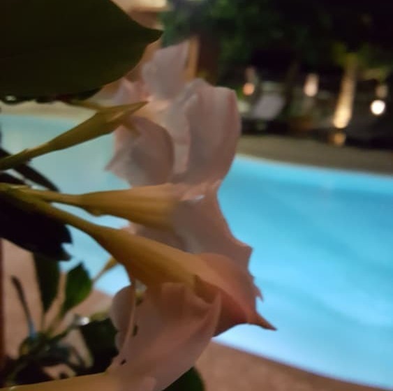 هتل Les Jardins De La Glaciere