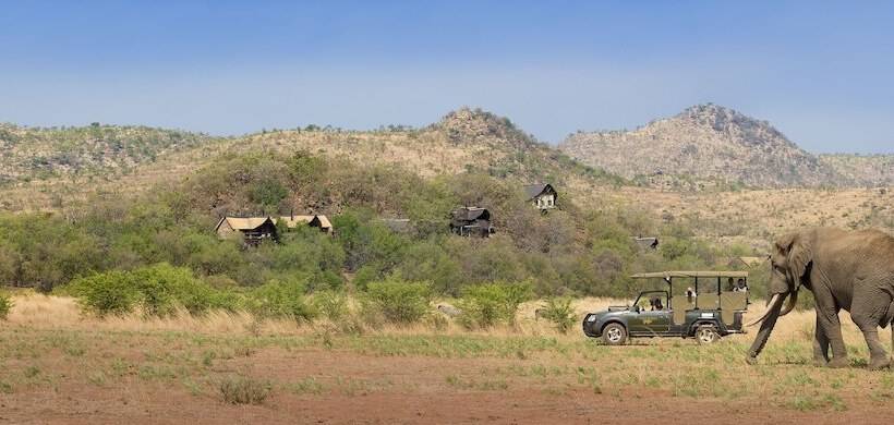فندق Tshukudu Bush Lodge