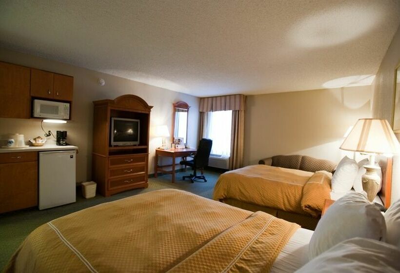 בית מלון כפרי Comfort Suites University