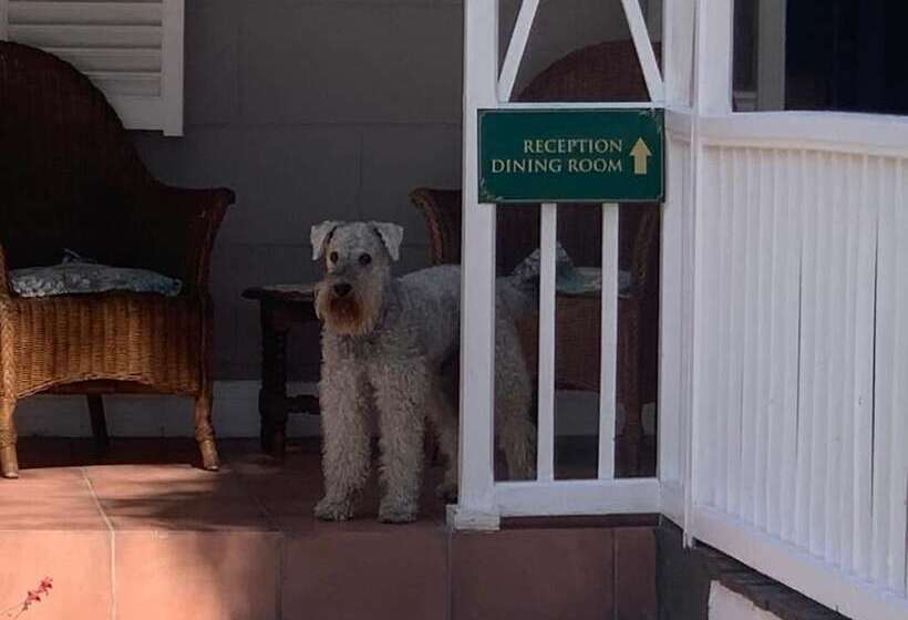 בית מלון כפרי Housemartin Guest Lodge