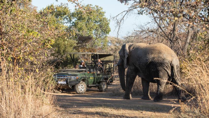 Отель Mabula Game Lodge