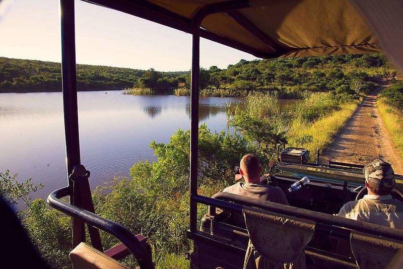 فندق Premier Resort Mpongo Private Game Reserve