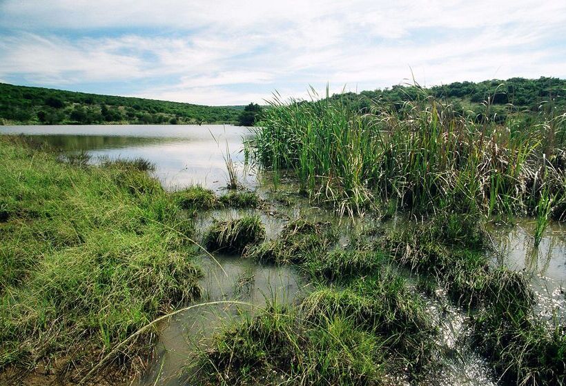 فندق Premier Resort Mpongo Private Game Reserve