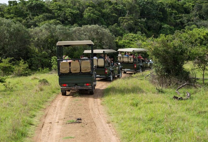 فندق Premier Resort Mpongo Private Game Reserve