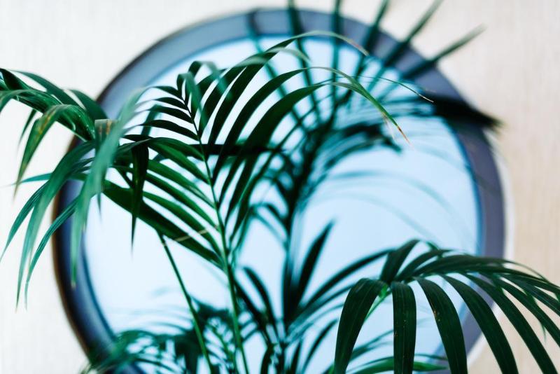 ホテル Athens Mirabello