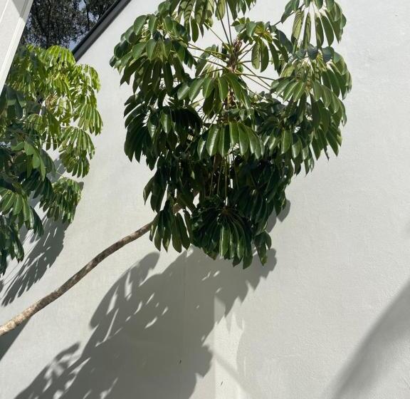 هتل Byron Lakeside Holiday Apartments