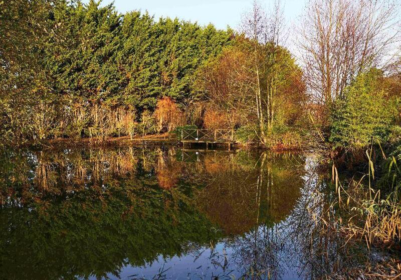 Отель Mercure Newbury West Grange