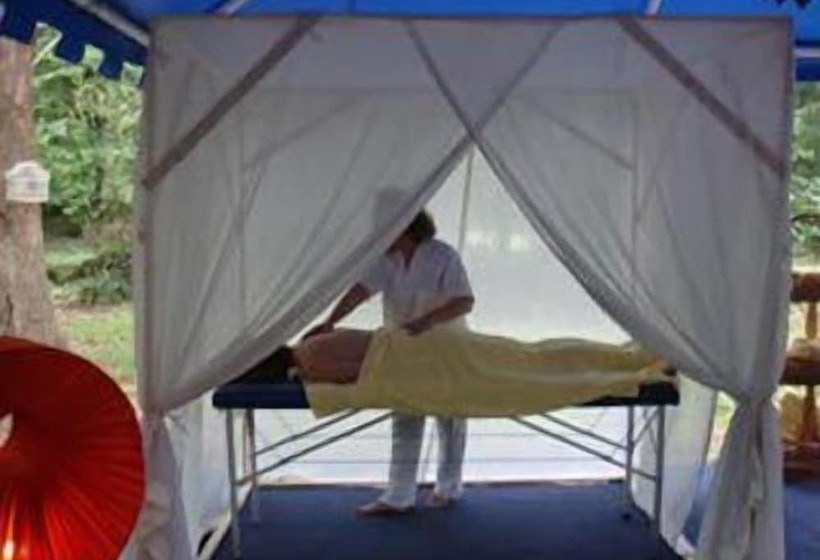 فندق Nuevo San Román De Escalante