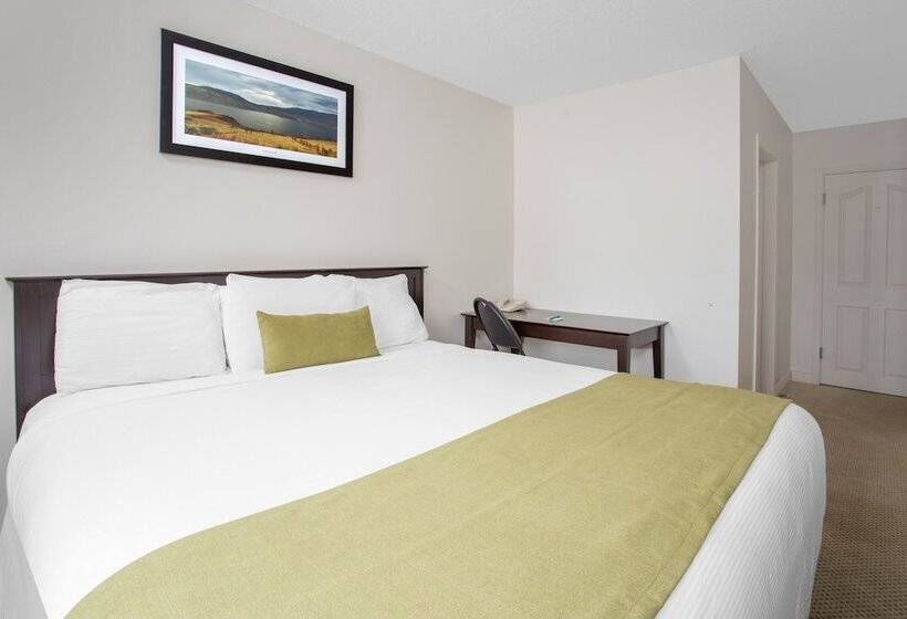 فندق Barriere Motor Inn