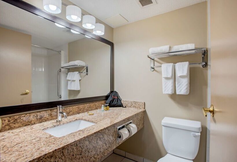 هتل Best Western Plus Red Deer Inn & Suite