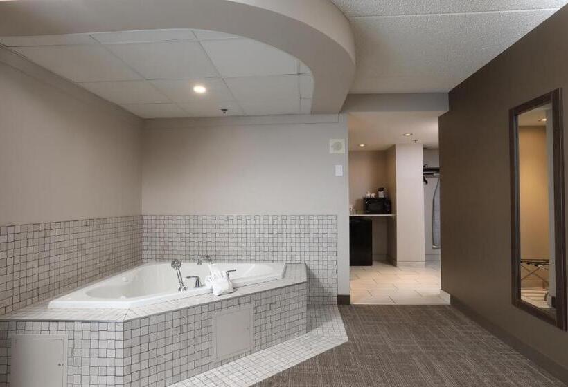 Отель Canad Inns Destination Centre Brandon