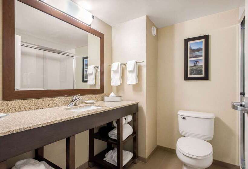 هتل Comfort Inn & Suites