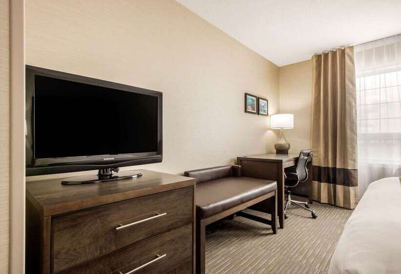 هتل Comfort Inn & Suites