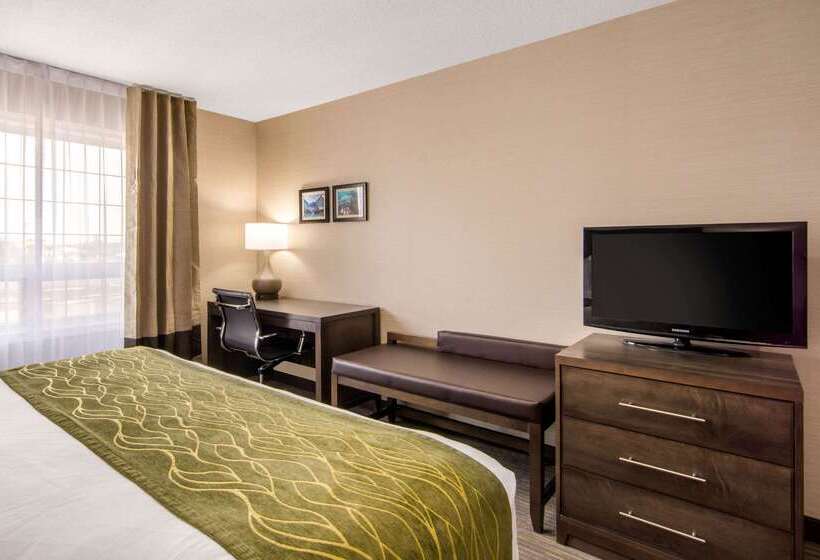 هتل Comfort Inn & Suites