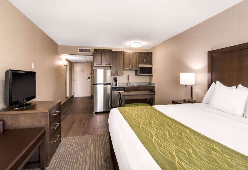 هتل Comfort Inn & Suites