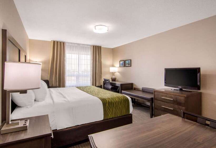 هتل Comfort Inn & Suites