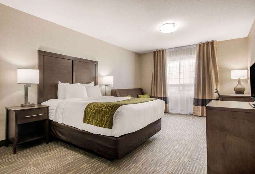 هتل Comfort Inn & Suites