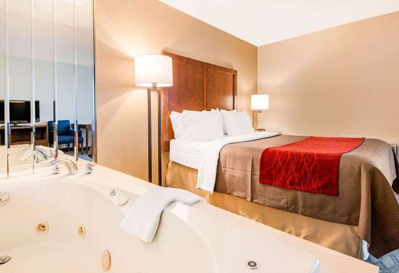 هتل Comfort Inn Fallsview