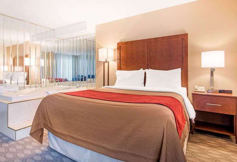هتل Comfort Inn Fallsview