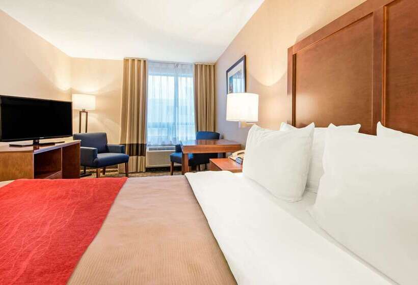 هتل Comfort Inn Fallsview