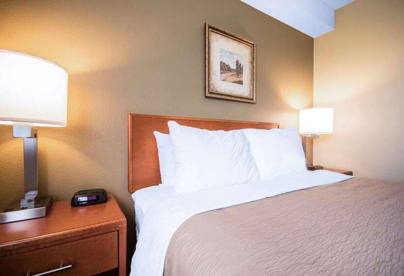 酒店 Comfort Inn & Suites