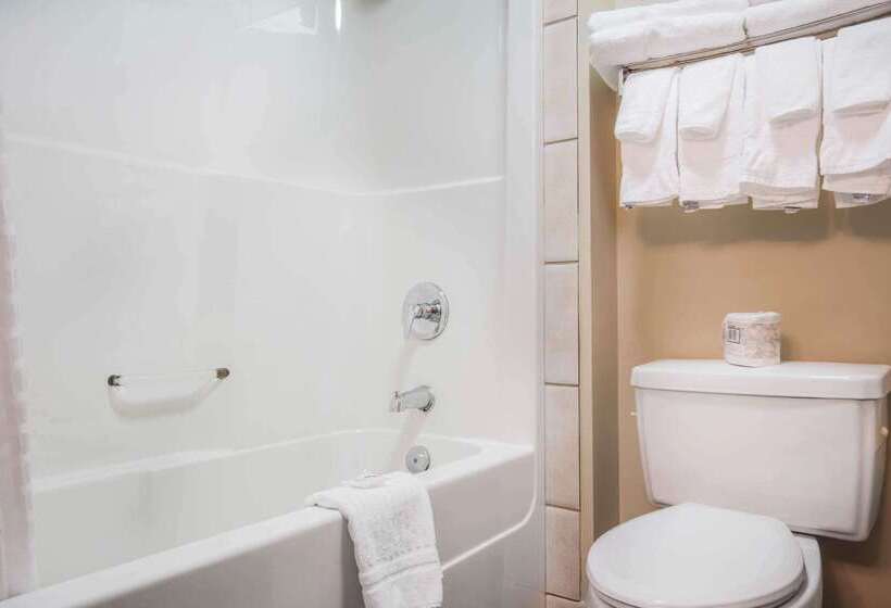 酒店 Comfort Inn & Suites